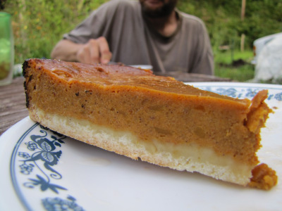 Slice of butternut pie