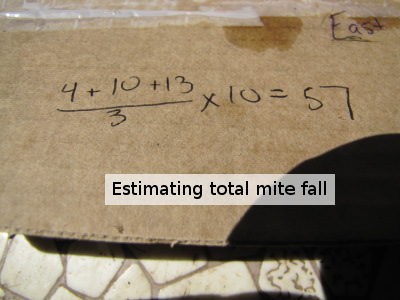 Formula to determine total varroa mite fall