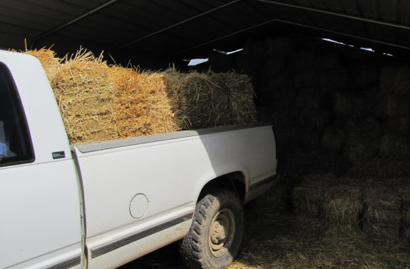 truck load of straw