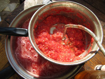 Processing tomatoes in a Foley mill