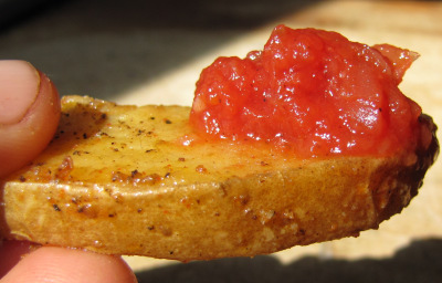 Homemade ketchup and fries