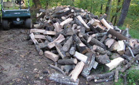 big pile of firewood