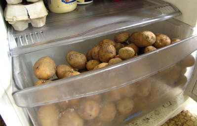 Storing potatoes in the fridge