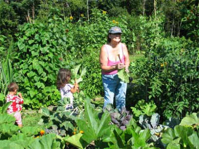 Community garden