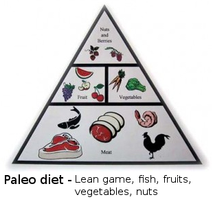 Paleo diet