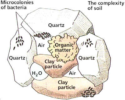 Soil organic matter