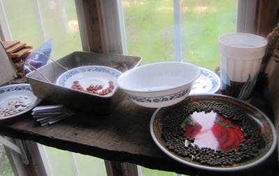 Drying seeds on the windowsill