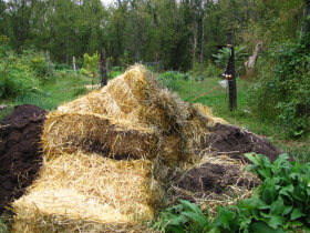 pile of straw bales next to compost pile