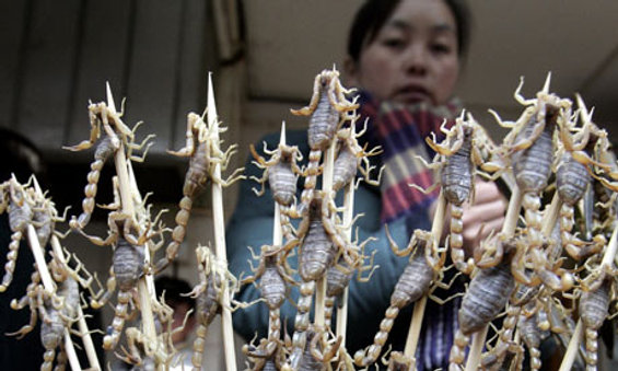 scorpion snack on a stick