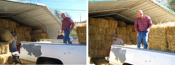 Loading straw in the truck