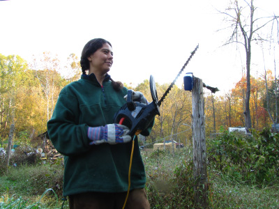 Electric hedge trimmer