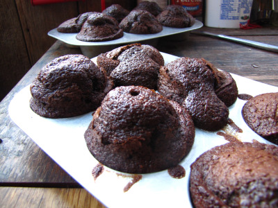 Dark chocolate cocoa muffins