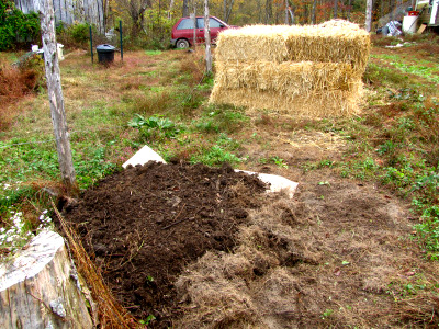 Mound to plant a tree in