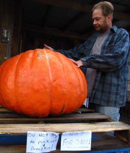 largest pumpkin of 2010 I've seen so far