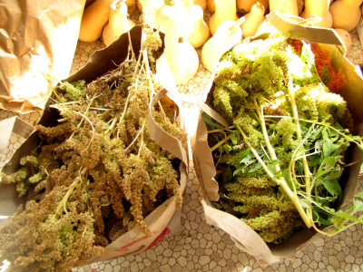 Harvesting amaranth for grain