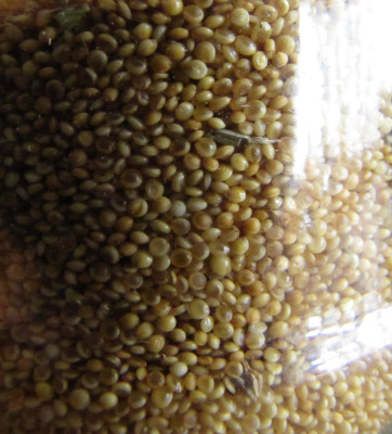 Jar of amaranth