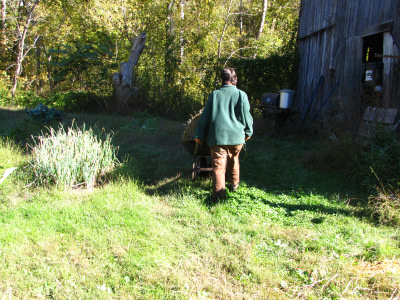 Working in the garden