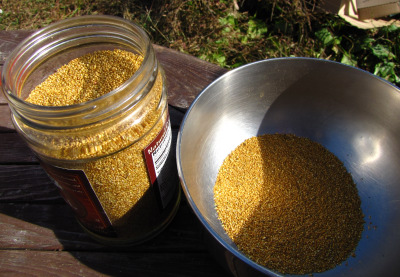 Amaranth seeds