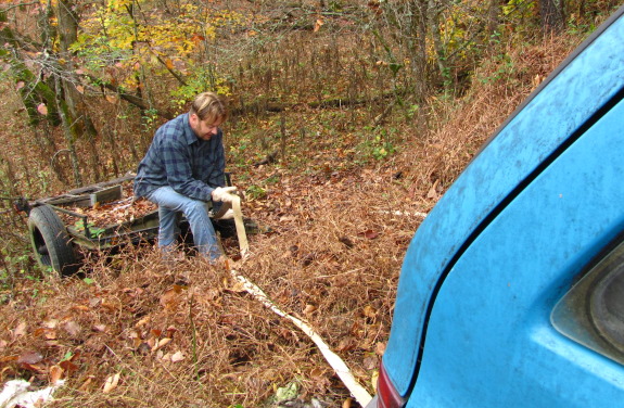 Tow strap in use once again