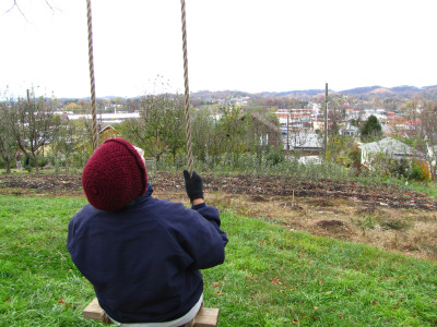 Swinging at the urban homestead