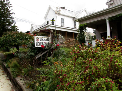 Urban homestead