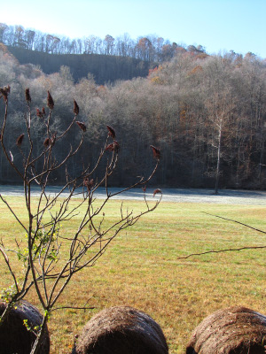 Frost on the hayfield