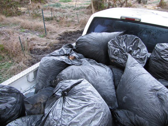 Truckload of bagged leaves