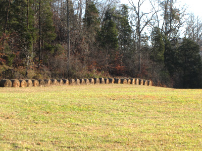 Round bales of hay