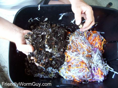 Shredded paper bedding in a worm bin