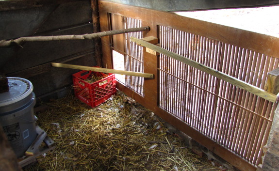 inside the new chicken coop configuration