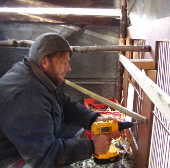 another view of inside of the chicken coop