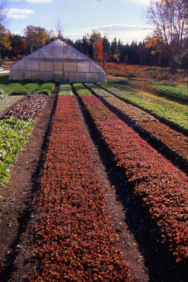 Movable greenhouse