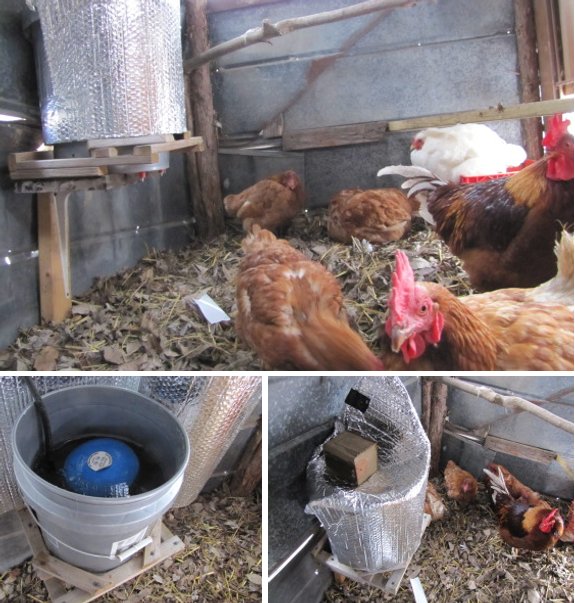 how to prevent water from freezing in a automatic bucket waterer