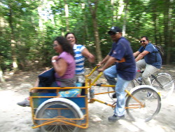 Bicycle taxi