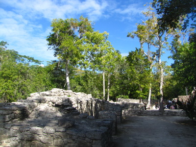 Mayan ruins in the jungle