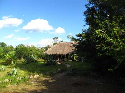 Thatched roof on the entrance to the steam lodge experience