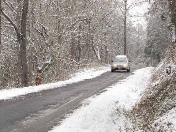 Driving down a snowy road.