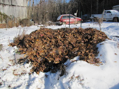 A leaf mulch tops the hugelkultur mound