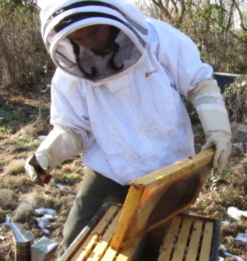 Anna in her bee keeper suit