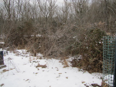 Gully with melted snow