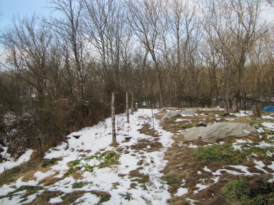 Line where shadow extends snow longevity