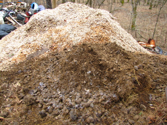 medium sized pile of horse manure
