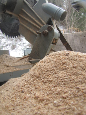 Sawdust coming out of a miter saw