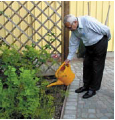 Applying urine to the garden