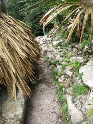 Walkway behind a thatched roof