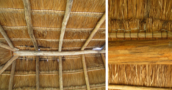 Grass thatch on Cozumel
