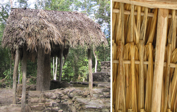 Palm thatched roof