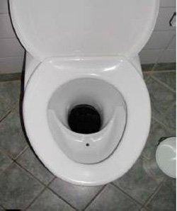 Urine diverting toilet