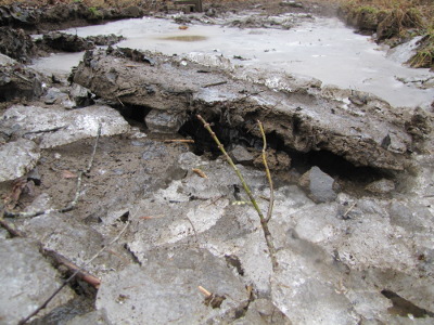 Ice in the driveway