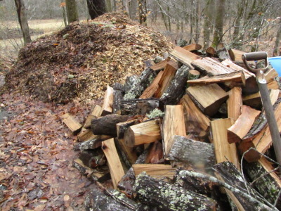 Pile of firewood